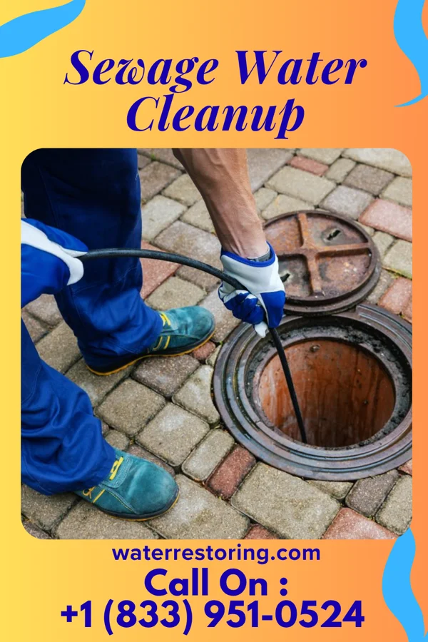 Sewage Water Cleanup in Owens Cross Roads, AL